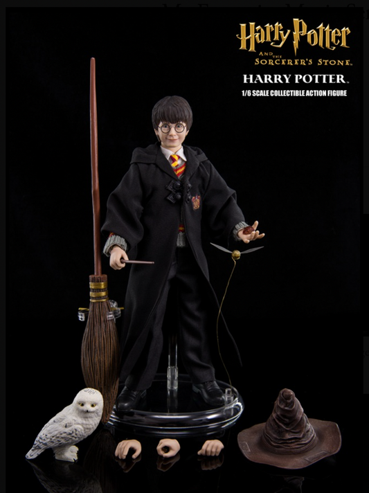 Harry Potter Action Figure